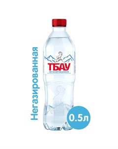 Вода минеральная природная питьевая столовая негазированная 0 5 л х 12 шт Тбау