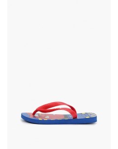 Сланцы Havaianas