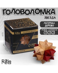 Головоломка деревянная игры разума Puzzle