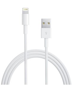 Аксессуар Lightning to USB Cable 0 5m для iPhone 5 5S SE iPod Touch 5th iPod Nano 7th iPad 4 iPad mi Apple