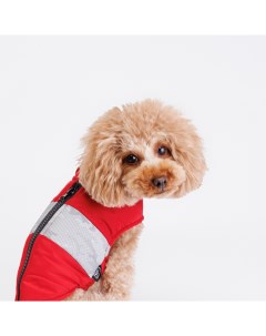 Куртка со светоотражающей полосой для собак S красная Rurri