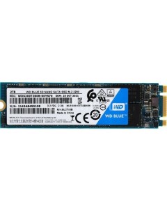 SSD накопитель Blue S200T2B0B 2ТБ M 2 2280 SATA III SATA Wd