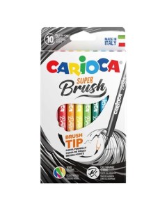 Фломастеры Super Brush смываемые 10 цв коробка с европодвесом Carioca