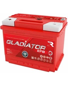 Аккумуляторная батарея Gladiator