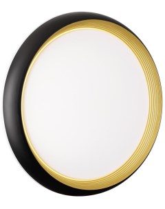 Настенно потолочный светильник PALE SN пластик черный золотой LED 48Вт 4000К D380 IP43 Sonex