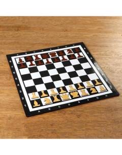 Демонстрационные шахматы на магнитной доске 60х60 см Nobrand
