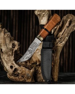 Нож охотничий в чехле 23 см лезвие с узором рукоять деревянная с тёмной вставкой Bazar