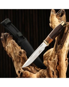 Нож охотничий Рагнар рукоять дерево с золотым кольцом лезвие 15 см Bazar