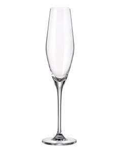 Набор бокалов для шампанского Loxia 210 мл 2 шт Crystal bohemia