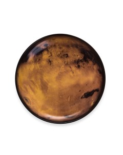 Тарелка Venus 10828 26 см Дизайнерская посуда из фарфора Италия Seletti