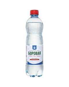 Вода питьевая природная газированная 0 5 л Боровая