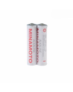 Батарейка Alkaline 1 5 В AAA LR03 2 штуки в SR Minamoтo