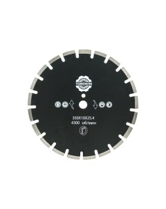 Алмазный диск сегментный по асфальту 350х10х25 4 мм TORGWIN T225898 Nobrand