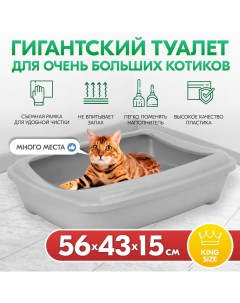 Лоток для кошек большой глубокий светло серый пластик 56 x 43 x 15 см Pettails