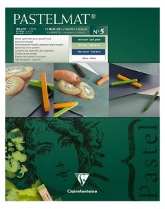 Альбом склейка Pastelmat для пастели 24 х 30 см 12 л 360 г цветной блок Clairefontaine
