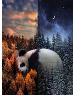 Картина по номерам Панда день ночь холст на подрамнике 40х50 см GX37141 Paintboy