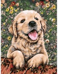 Картина по номерам Веселый щенок 40x50 см Цветной