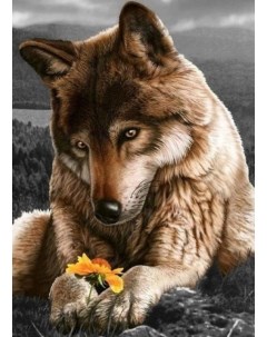 Картина по номерам Paintboy Волк и цветок GX9713 холст на подрамнике 40х50 см Paintboy (premium)