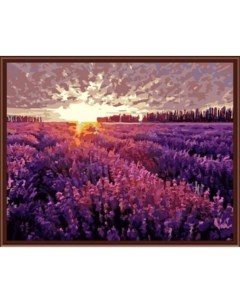 Картина по номерам на холсте 40х50 Рассвет над лавандовым полем GX6812 Цветной