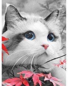 Картина по номерам Голубоглазый котенок ME1153 на холсте на подрамнике 30х40 Цветной