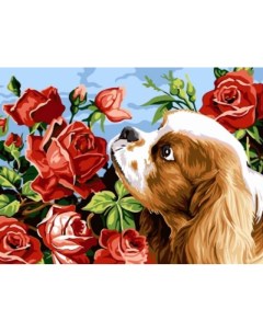 Картина по номерам на холсте 30х40 Щенок и розы EX5257 Цветной