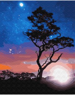 Картина по номерам на холсте 40х50 В звёздном сиянии GX23214 Цветной