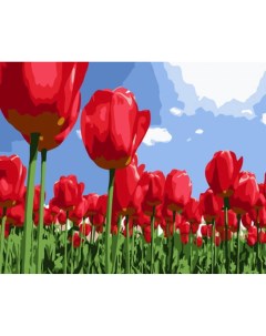Картина по номерам на холсте 30х40 Поле тюльпанов EX5826 Цветной
