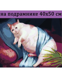 Алмазная мозаика толстый кот HWA3979 на подрамнике 40х50 Nobrand
