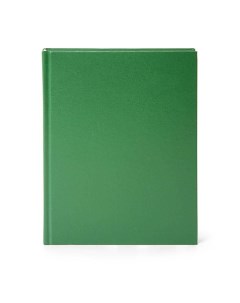 Ежедневник недатированный А5 160 л обложка бумвинил зеленая 16шт Lite
