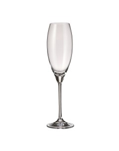 Набор бокалов для шампанского Carduelis 6 шт 290 мл стекло Crystal bohemia