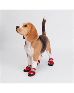 Ботинки на липучках для собак S красные Rungo