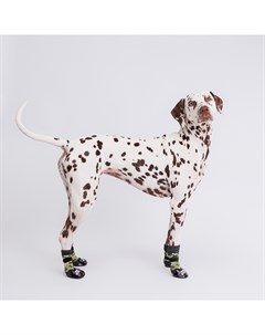 Носки с прорезиненной подошвой для собак XL зеленый камуфляж Rungo