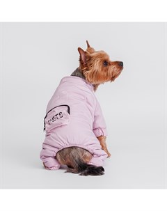 Комбинезон с кармашком для собак S фиолетовый девочка Petmax