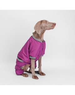 Комбинезон для собак Комикс 4ХL фиолетовый девочка Petmax