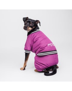 Комбинезон для собак Комикс L фиолетовый девочка Petmax
