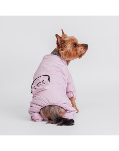 Комбинезон с кармашком для собак M фиолетовый девочка Petmax