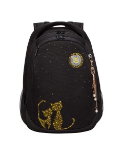Рюкзак молодежный RD 440 4 1 с карманом для ноутбука 13 черный золото Grizzly