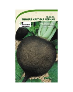 Семена редька Зимняя круглая черная 160648 1 уп Садовита