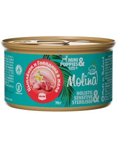 Консервы для собак с цыпленком и говядиной в желе 12 шт по 70 г Molina