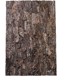 Натуральный фон из коры пробкового дерева Rough 60х30см Lucky reptile