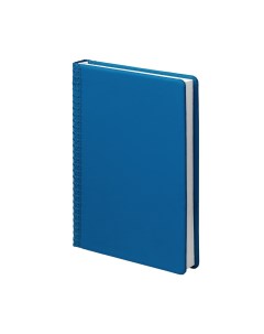 Ежедневник датированный Pied de poule 2024 год А5 синий Attache