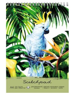 Альбом для пастели Попугай цветная бумага с хлопковым волокном Феникс