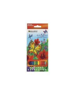 Карандаши цветные Wonderful butterfly 12 цветов заточенные картонная упаковка с блестками 180535 6 ш Brauberg