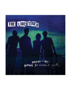 Виниловая пластинка The Libertines Anthems For Doomed Youth 0602547462817 Emi