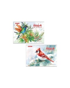 Альбом для рисования А4 24 л скоба обложка картон 202х285 мм Райские птички 2 вида 105609 10 шт Brauberg
