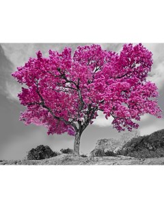 Картина на холсте Розовое дерево 50x70 см Без бренда