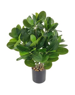 Искусственное растение Фикус широколистный 55 см Без бренда