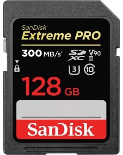 Карта памяти 128Gb SDXC Class 10 SDSDXDK 128G GN4IN Sandisk