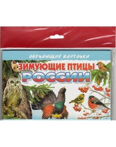 Обучающие карточки Зимующие птицы России Литур