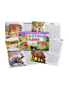 Обучающие карточки Животные Азии Литур